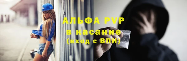 ешки Касимов