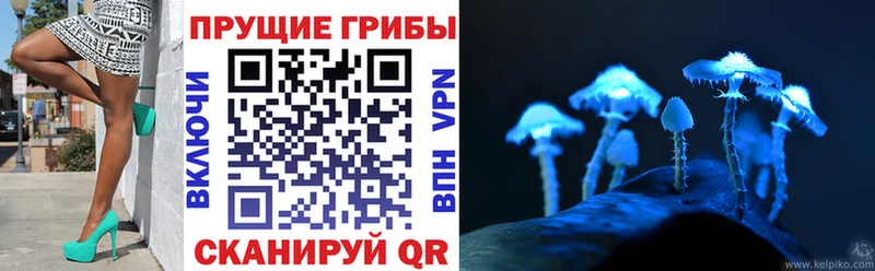 Галлюциногенные грибы Magic Shrooms  Купить  Дюртюли 